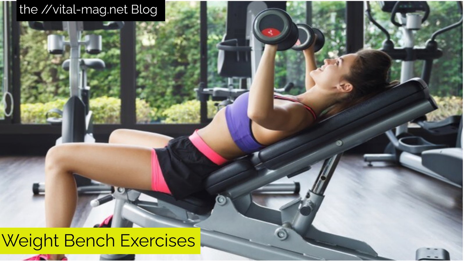 Weight Bench Exercises*