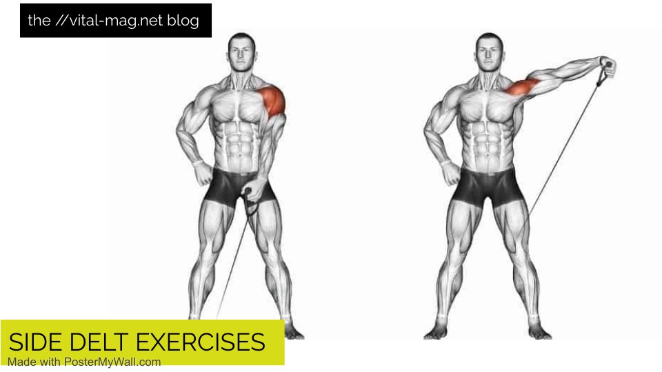 side delt exercises