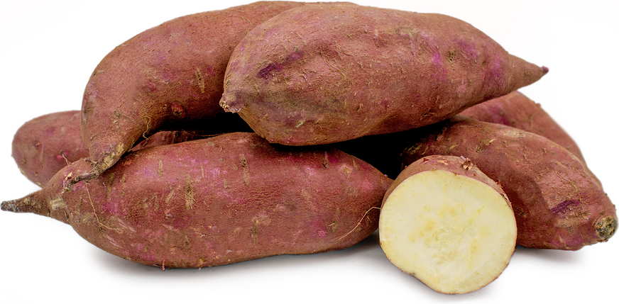 Murasaki Sweet Potato