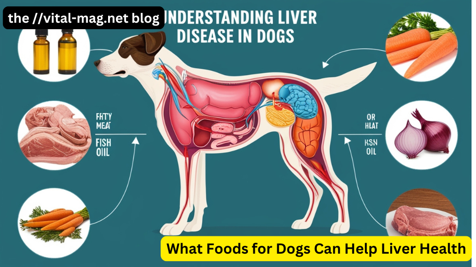 What Foods for Dogs Can Help Liver Health