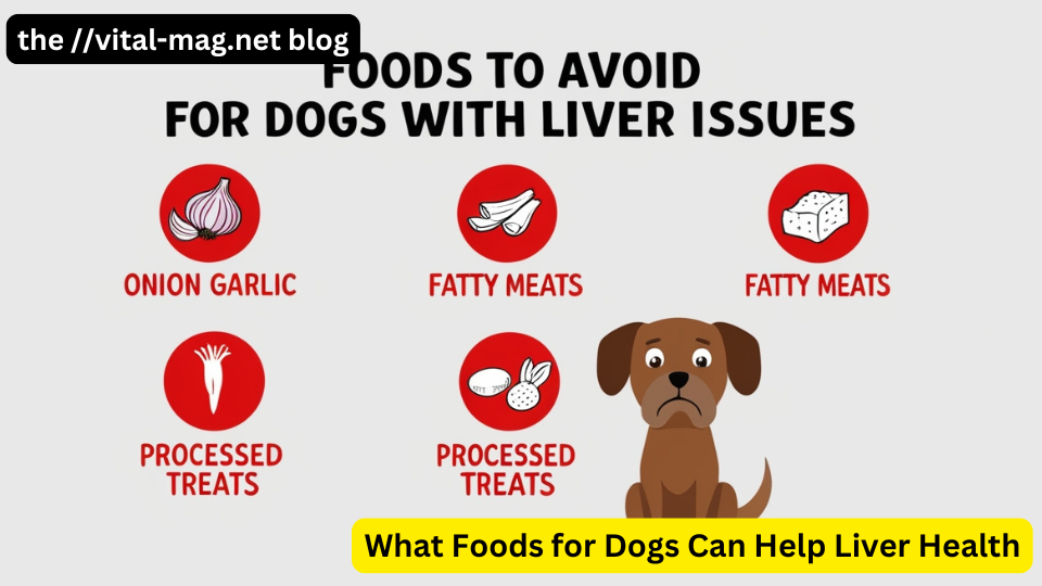 What Foods for Dogs Can Help Liver Health