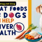 What Foods for Dogs Can Help Liver Health