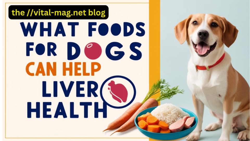 What Foods for Dogs Can Help Liver Health